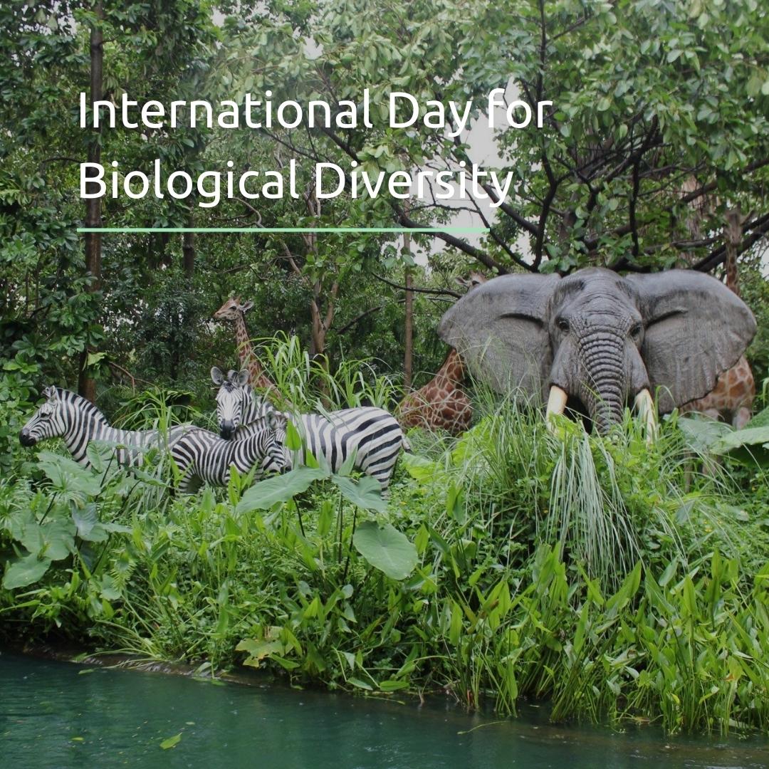 International Day for Biological Diversity
