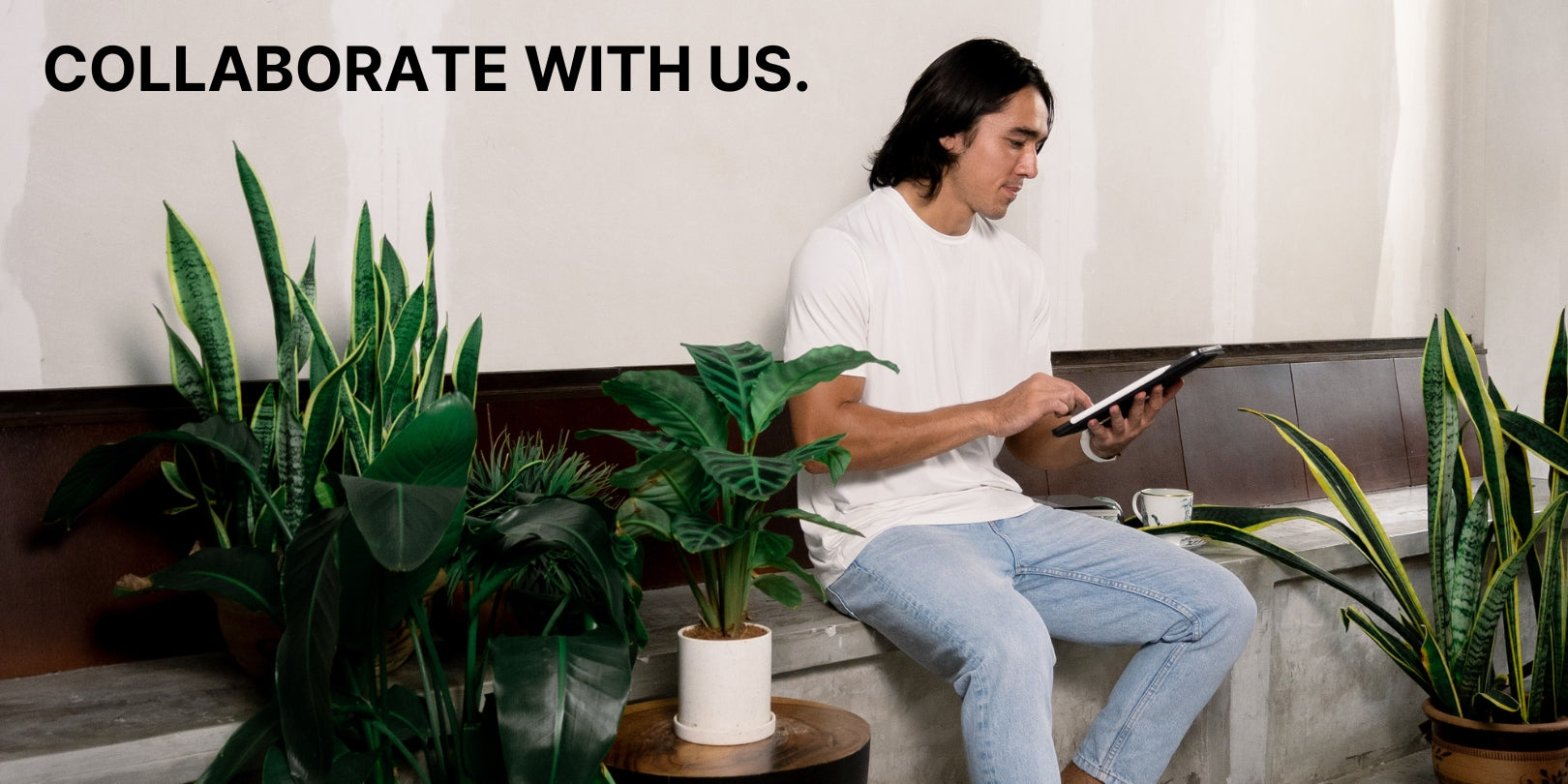 Collaborate with Kualesa