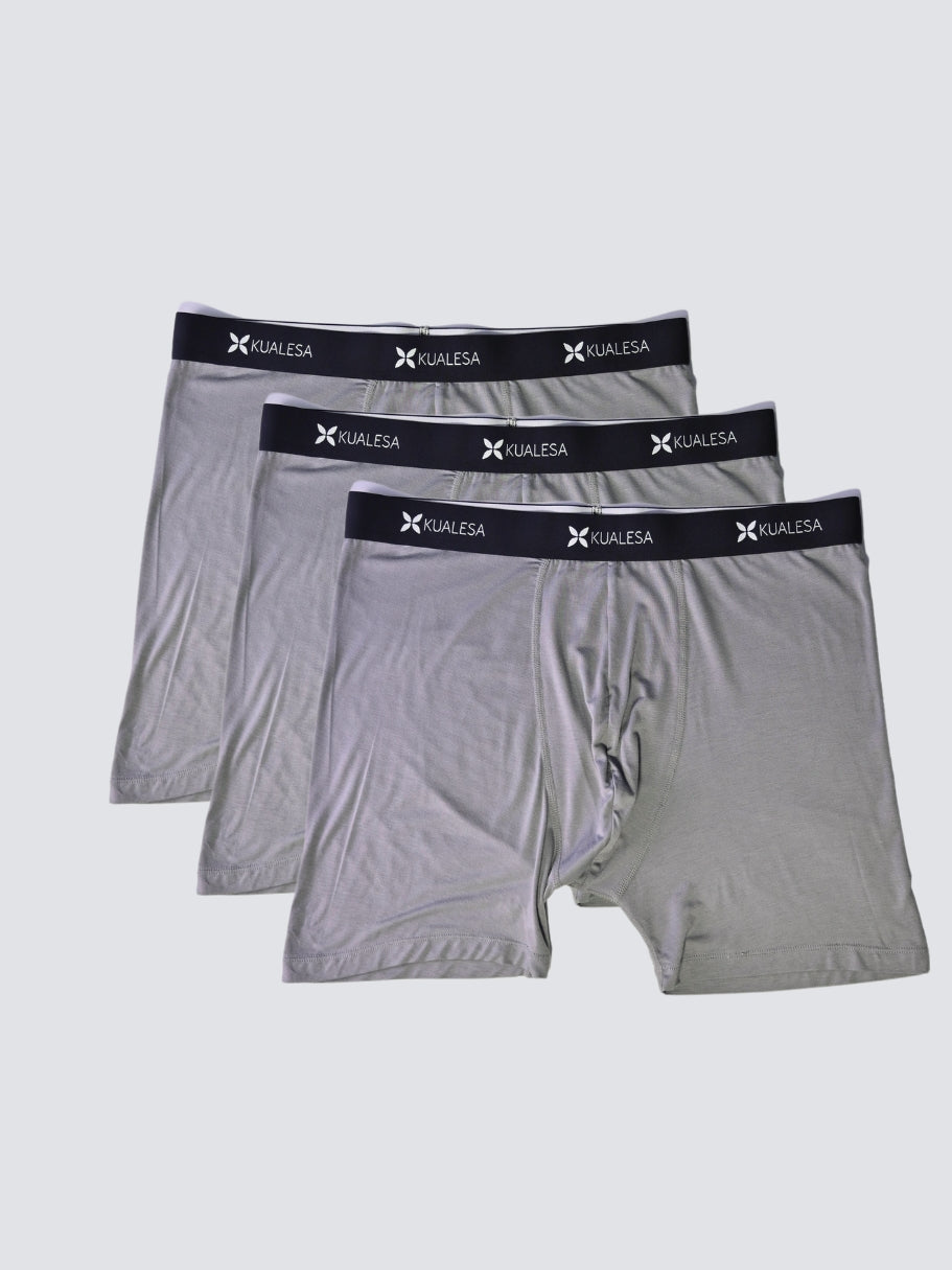 AB Boxer Brief Multipack
