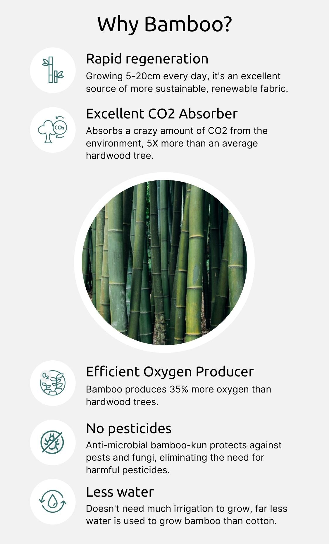 Why Bamboo? (Mobile)