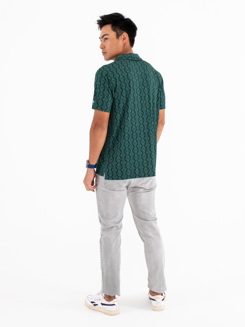 #color_komodo