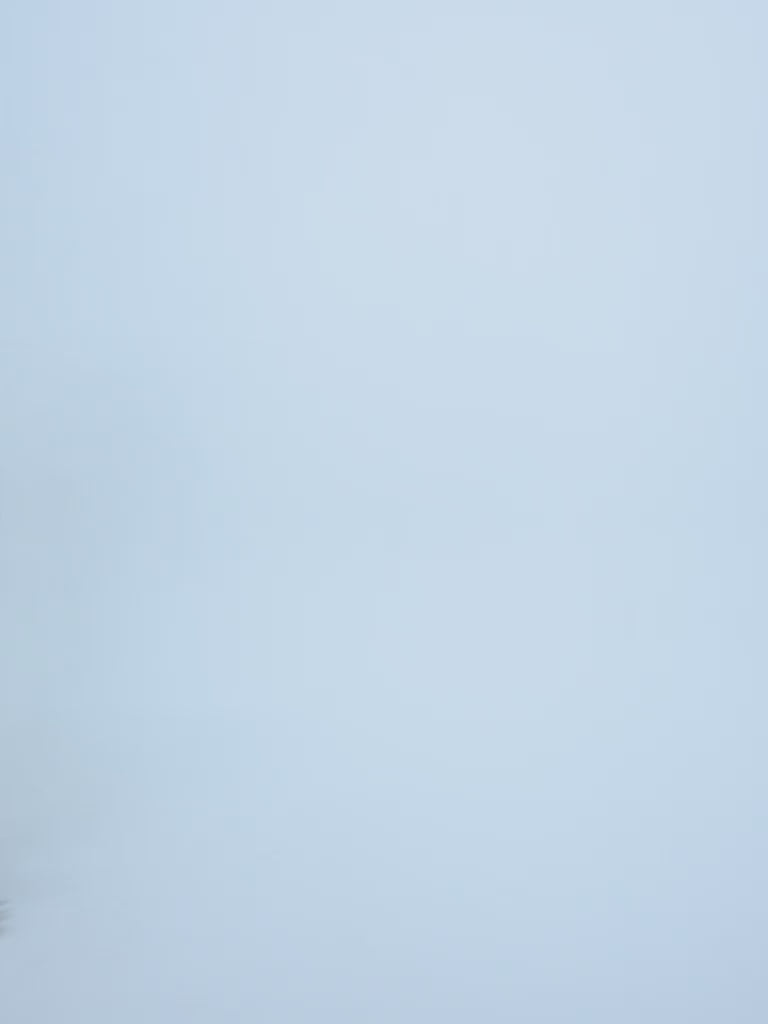 #color_white