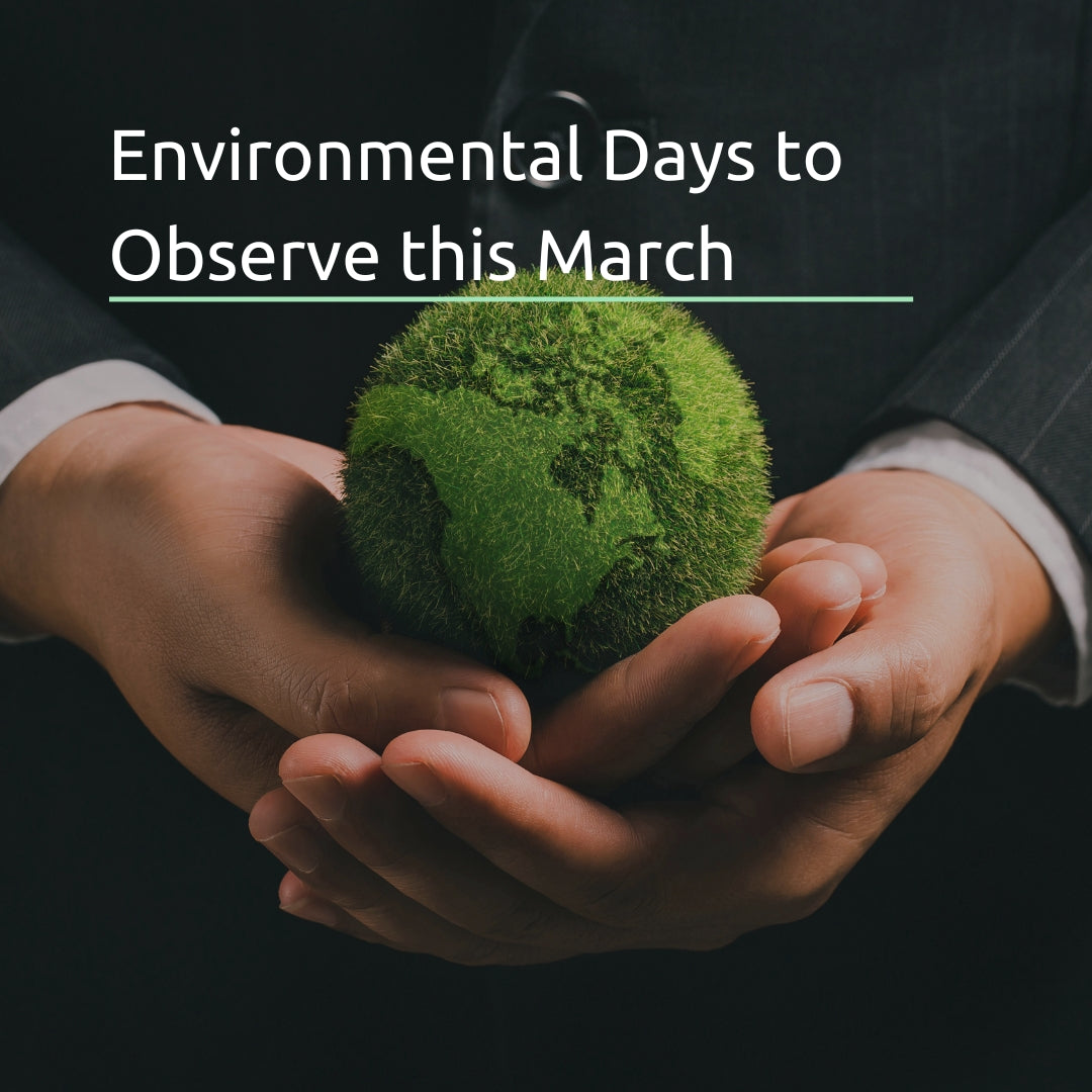 Environmental Days to Observe this March