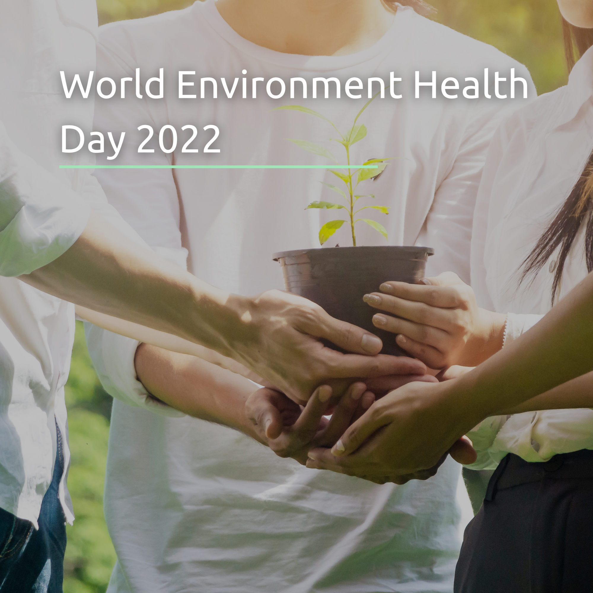 World Environment Health Day 2022