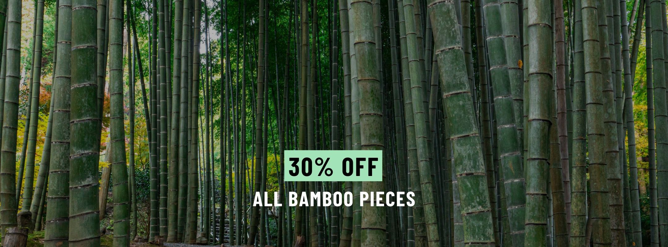 Bamboo Day Sale