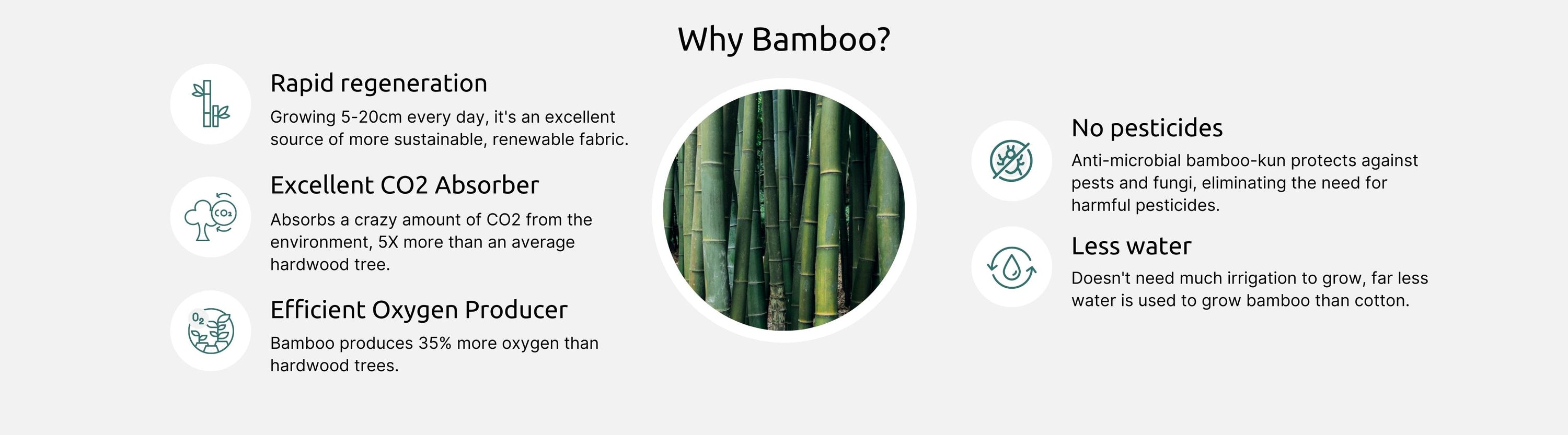 Kualesa Sustainability Why Bamboo? (Desktop)